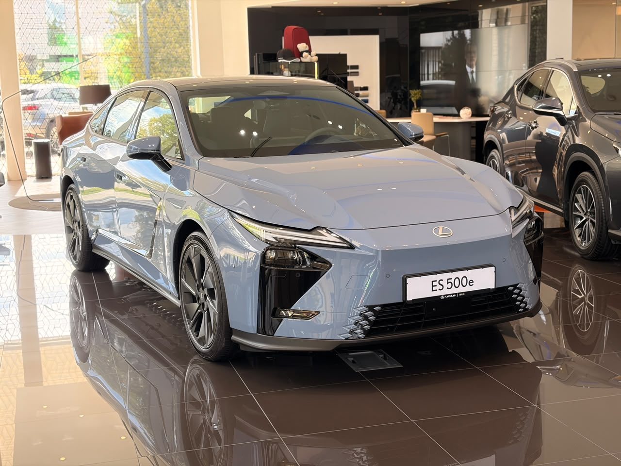 ES 500e Luxury (3/10)