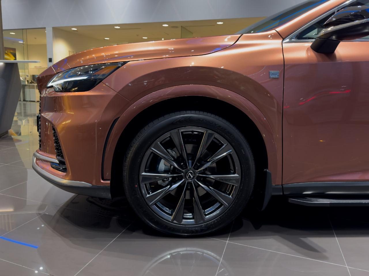 RX 350h F Design (6/9)