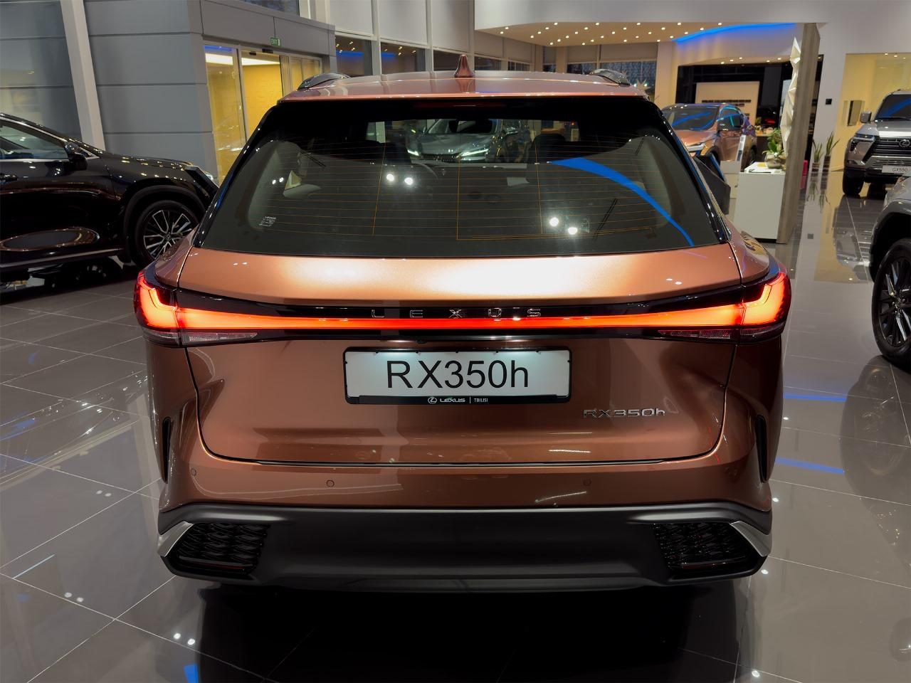 RX 350h F Design (5/9)
