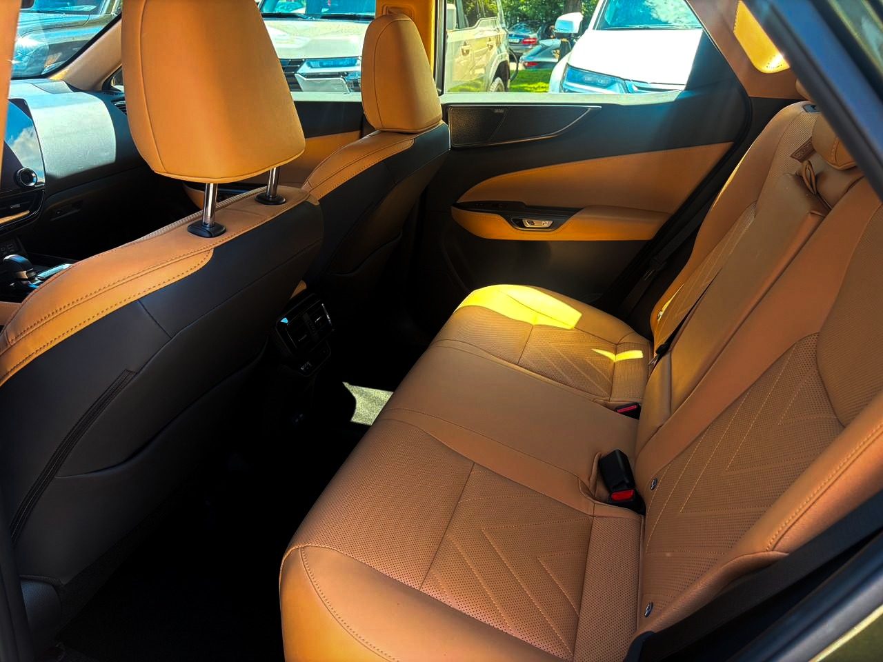 NX 250 Luxury (10/10)