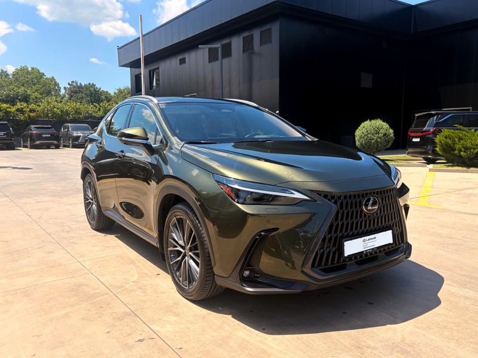 NX 250 Luxury