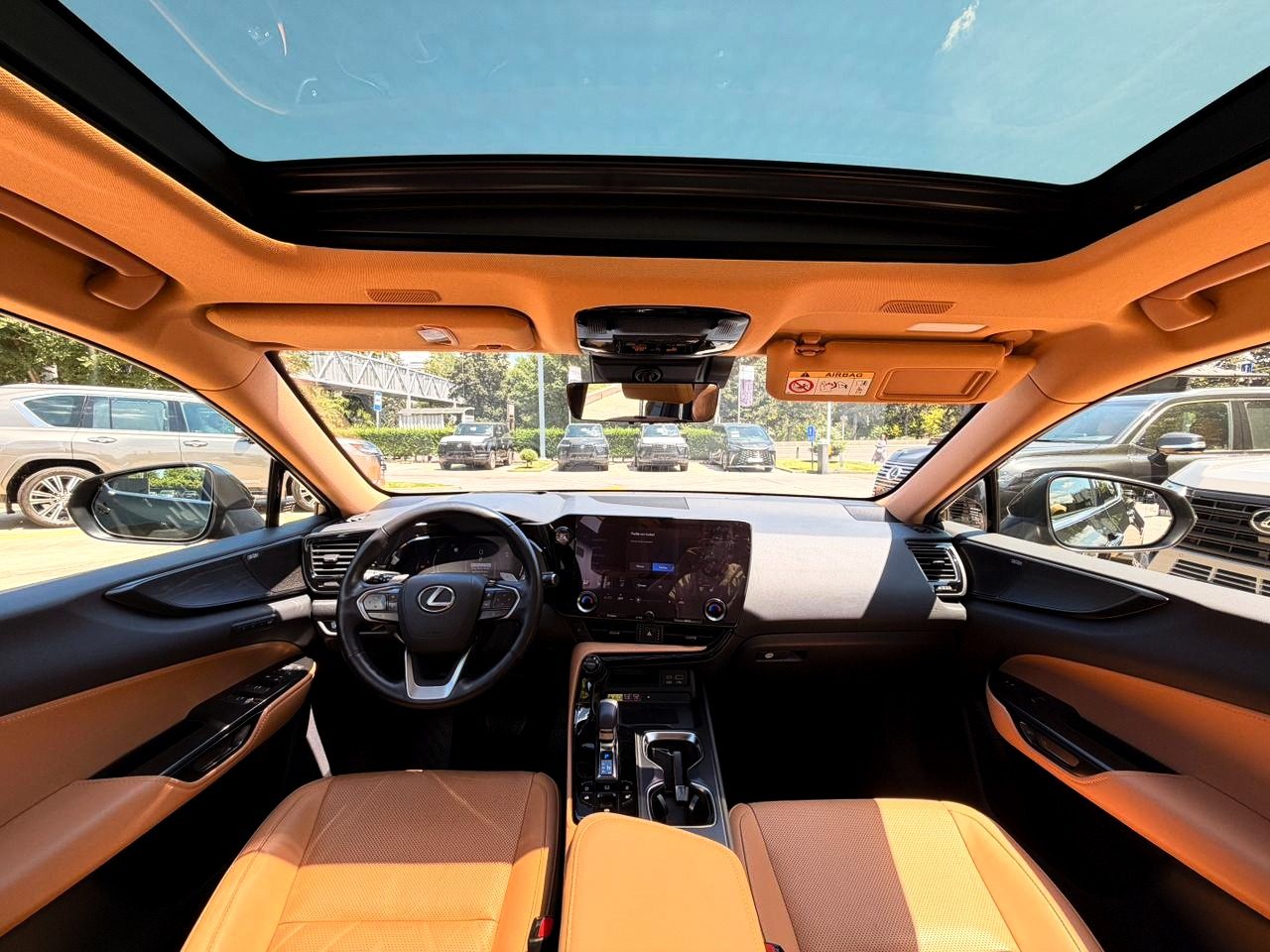 NX 250 Luxury (8/10)