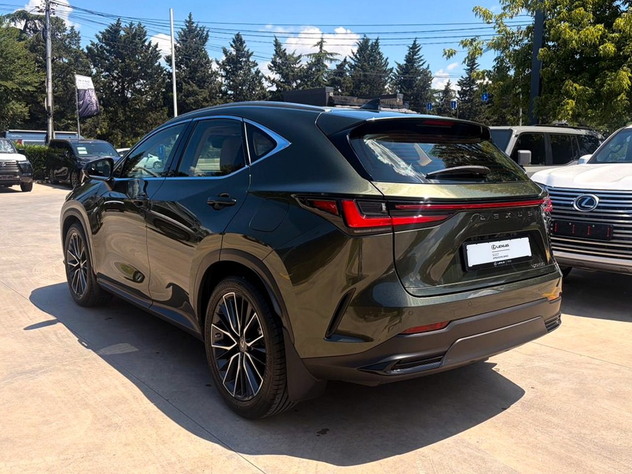 NX 250 Luxury (4/10)