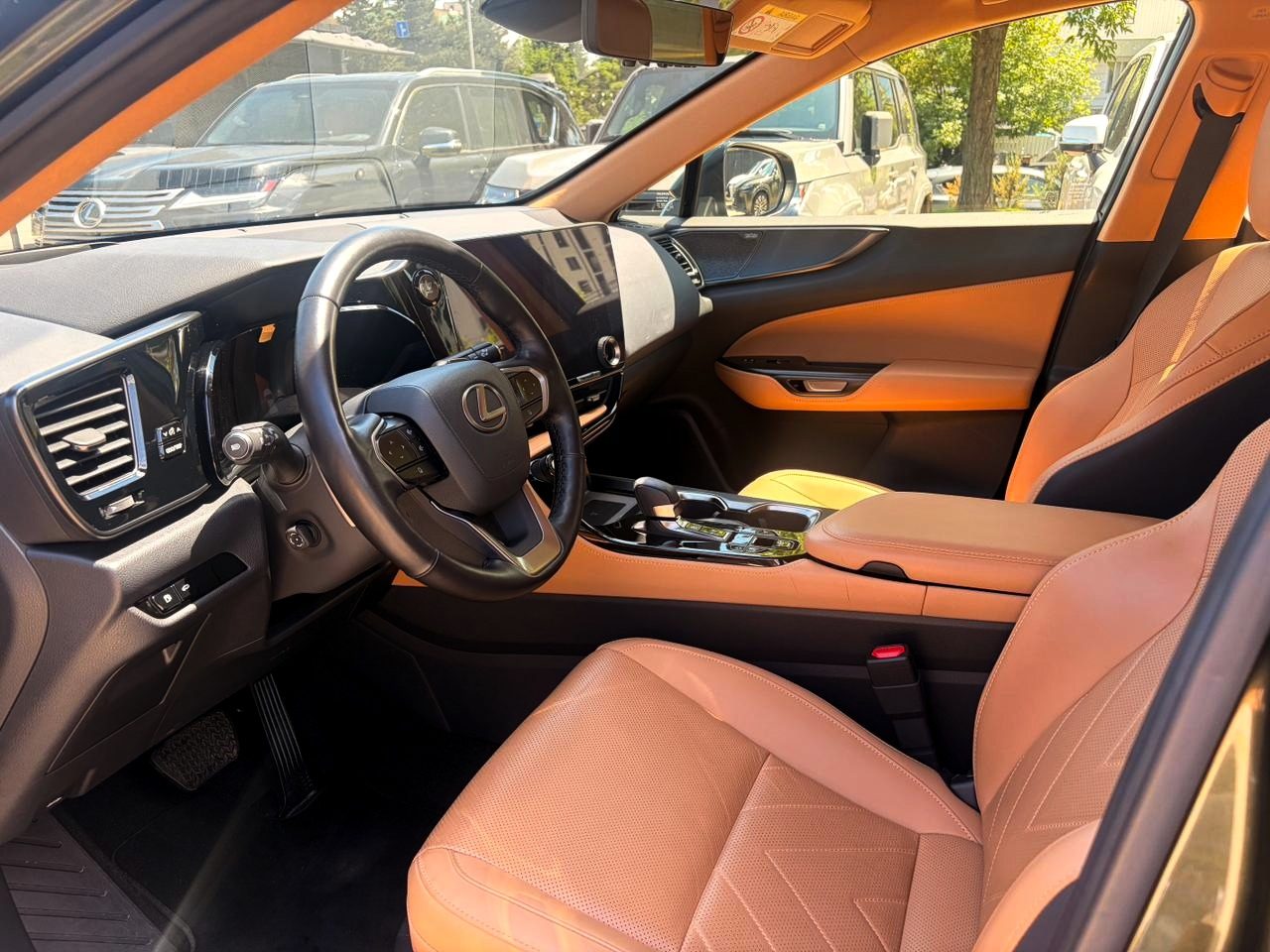 NX 250 Luxury (7/10)