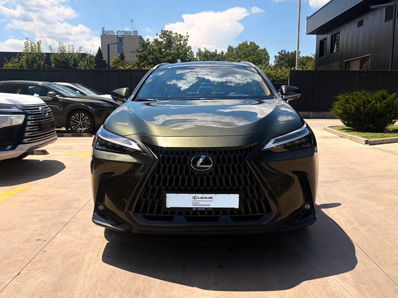 NX 250 Luxury (2/10)