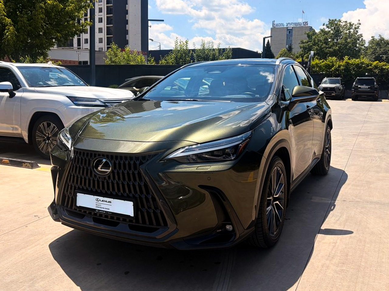 NX 250 Luxury (3/10)