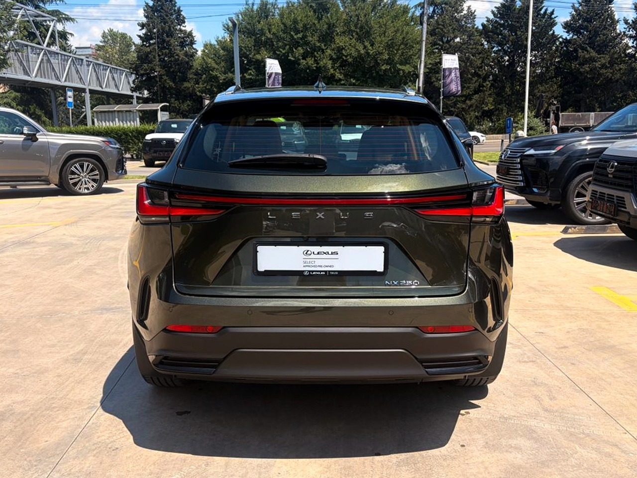 NX 250 Luxury (5/10)