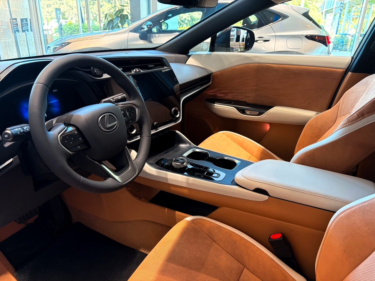 RZ500e Luxury (7/11)