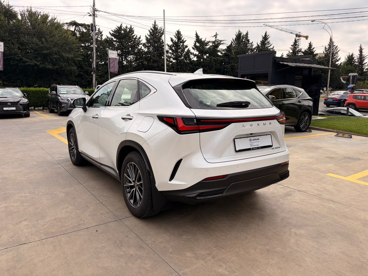 NX 350h Executive (6/10)