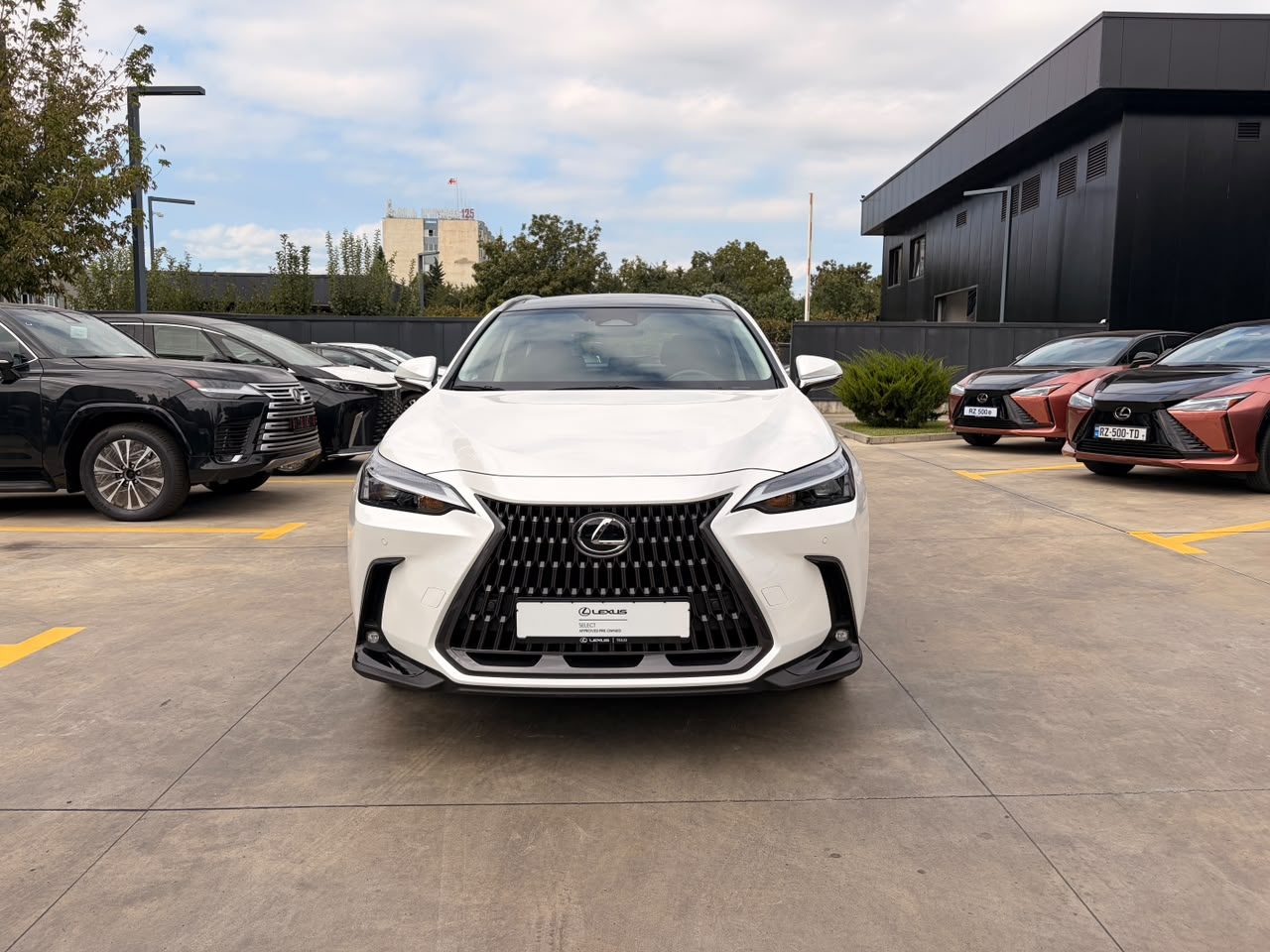 NX 350h Executive (2/10)