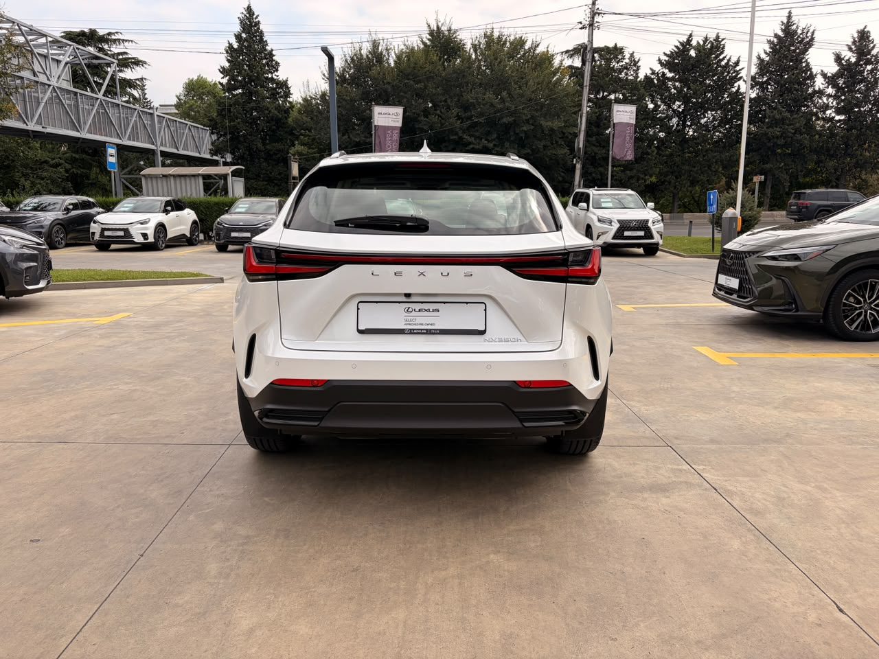 NX 350h Executive (5/10)