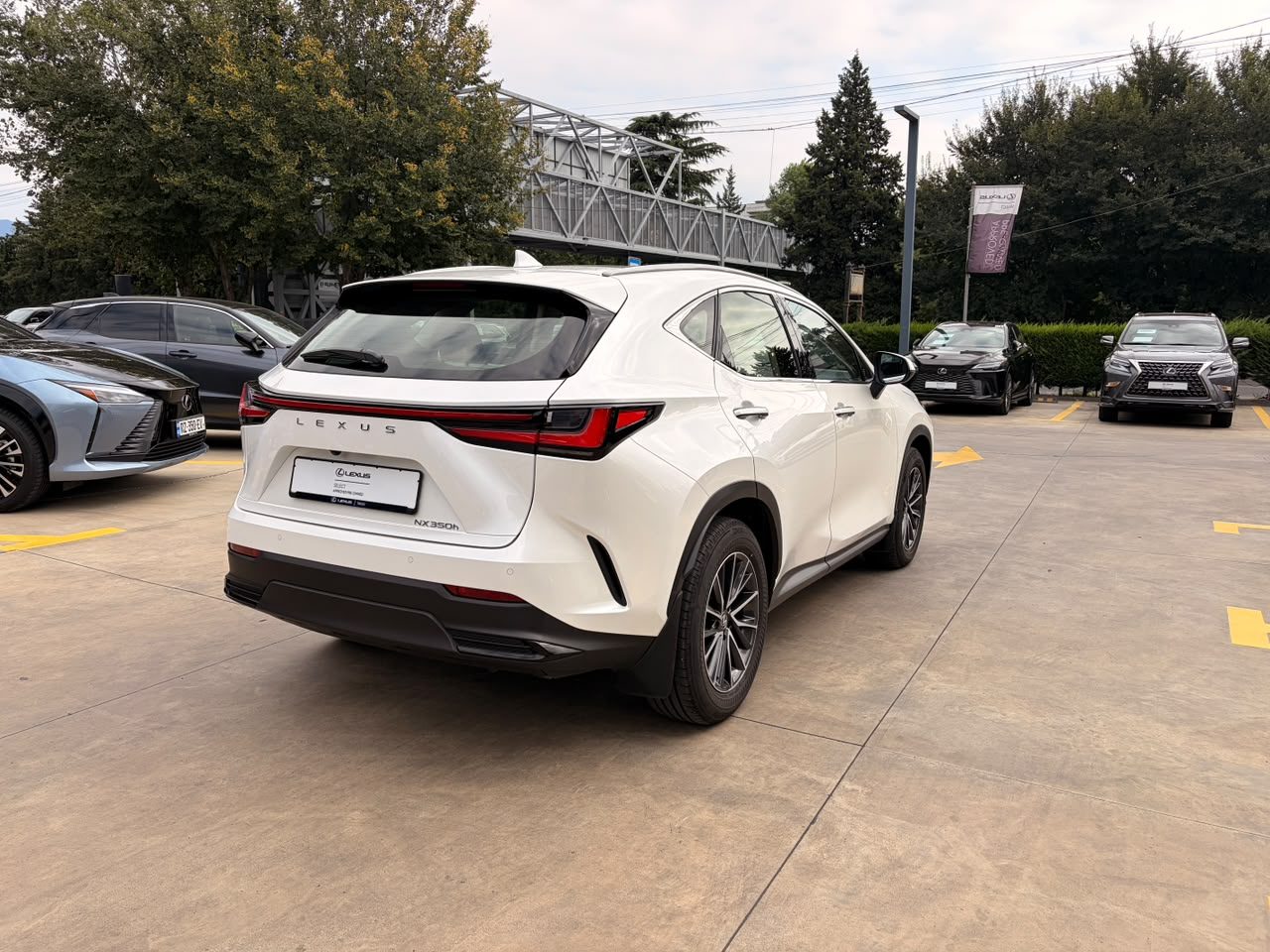 NX 350h Executive (4/10)