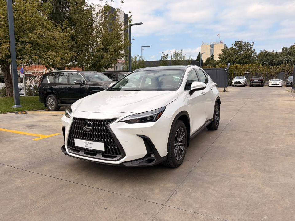 NX 350h Executive