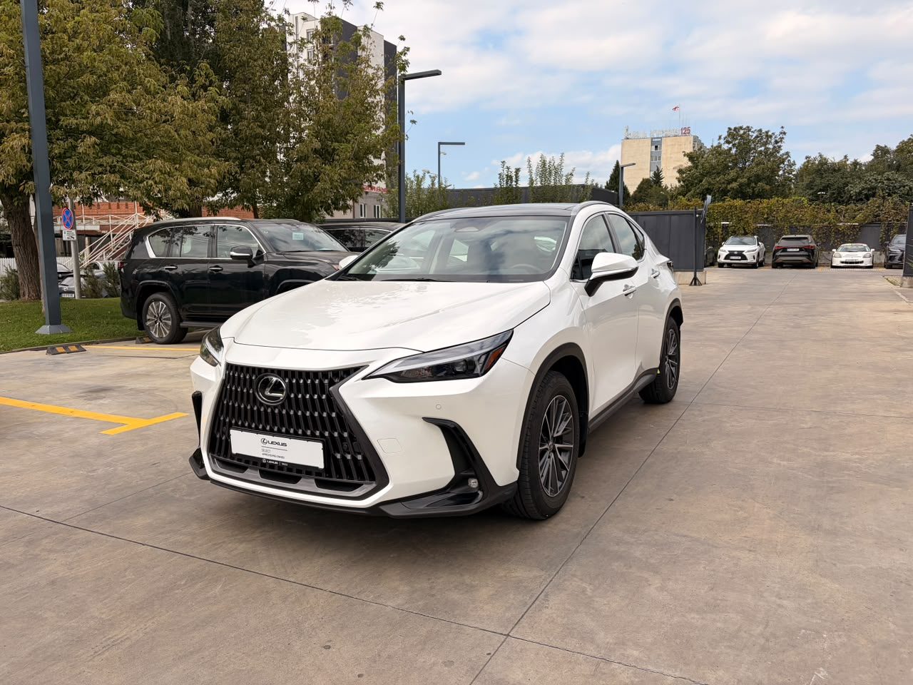 NX 350h Executive