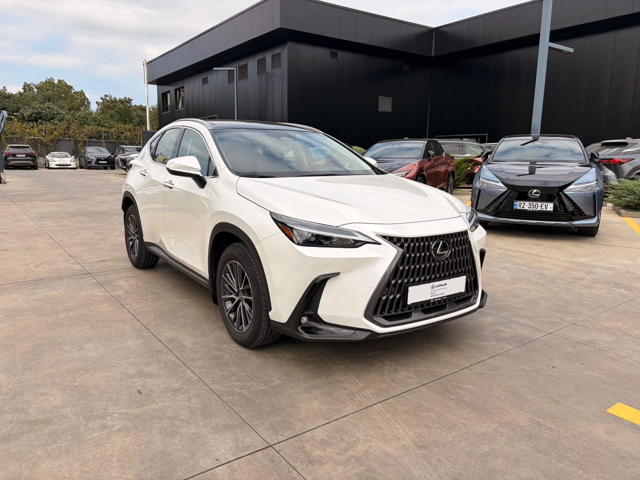NX 350h Executive (3/10)