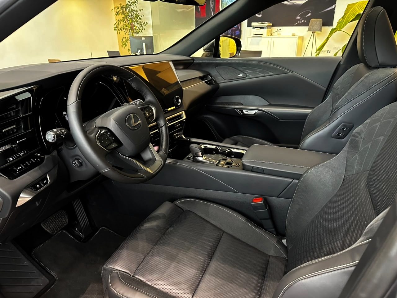 RX 350h Luxury (7/11)
