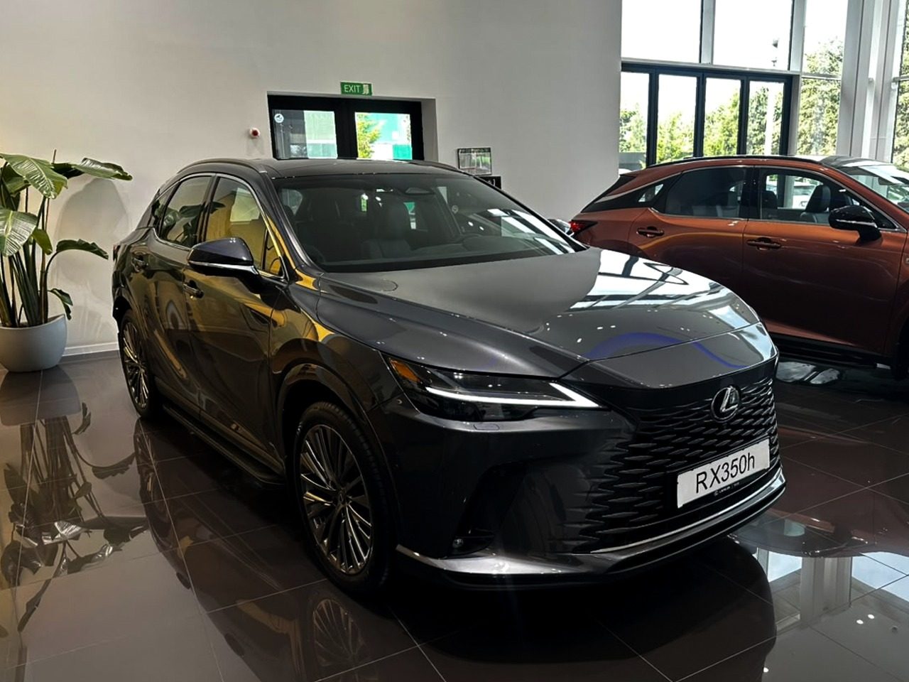RX 350h Luxury (3/11)