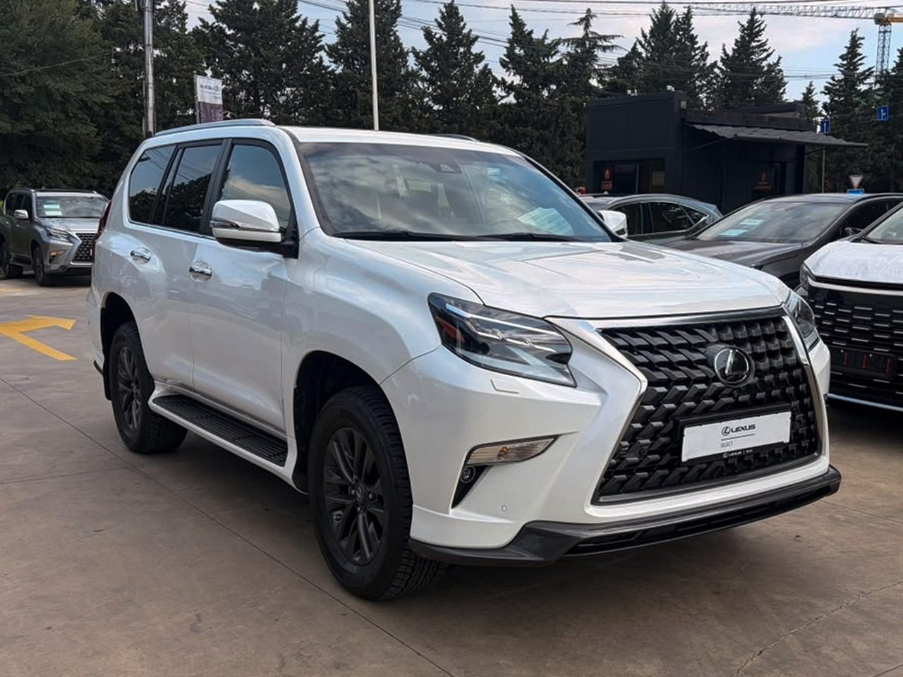 GX 460 Sport (3/10)