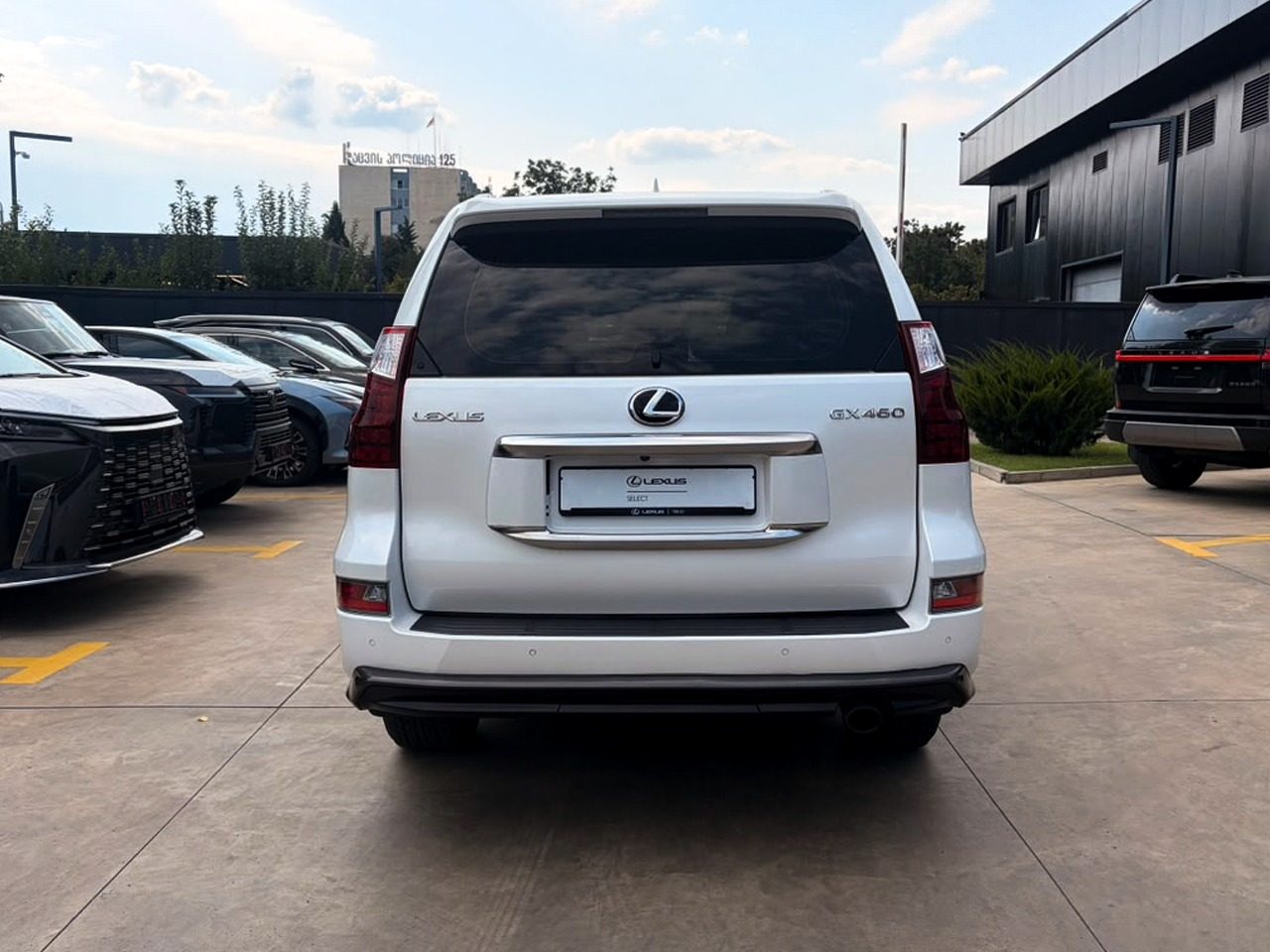 GX 460 Sport (5/10)