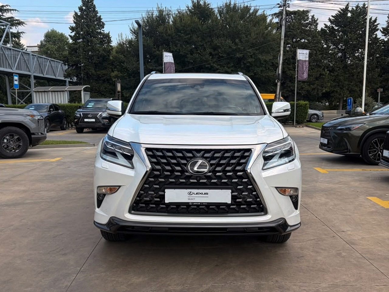 GX 460 Sport (2/10)