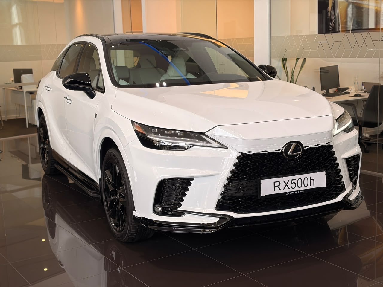RX 500h F sport SE (3/10)