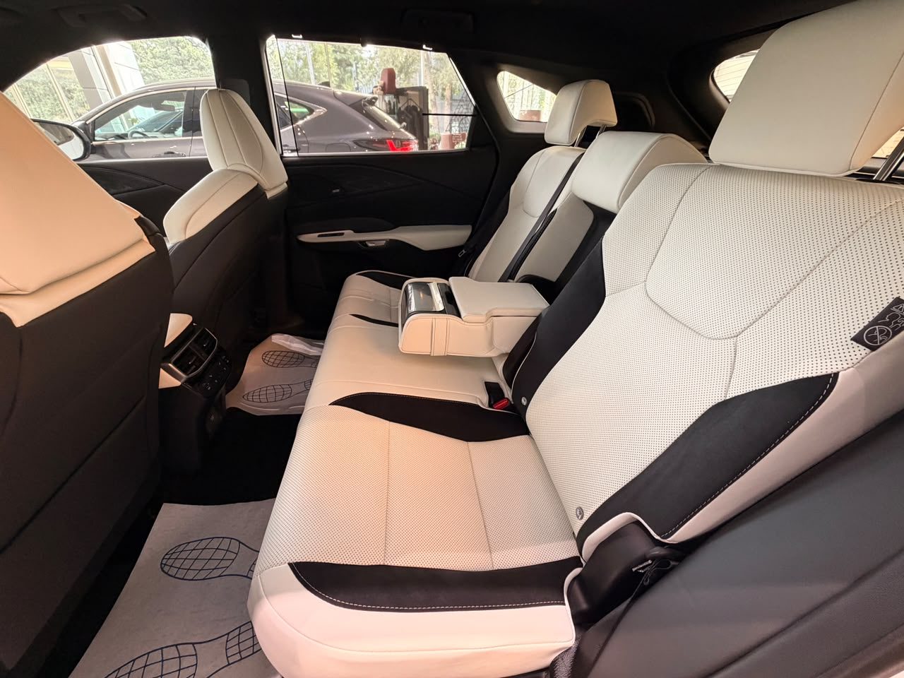 RX 500h F sport SE (8/10)