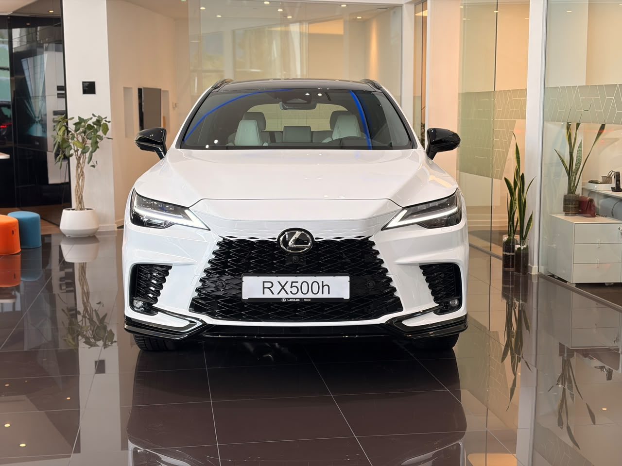 RX 500h F sport SE (2/10)