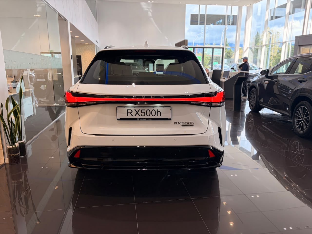 RX 500h F sport SE (5/10)
