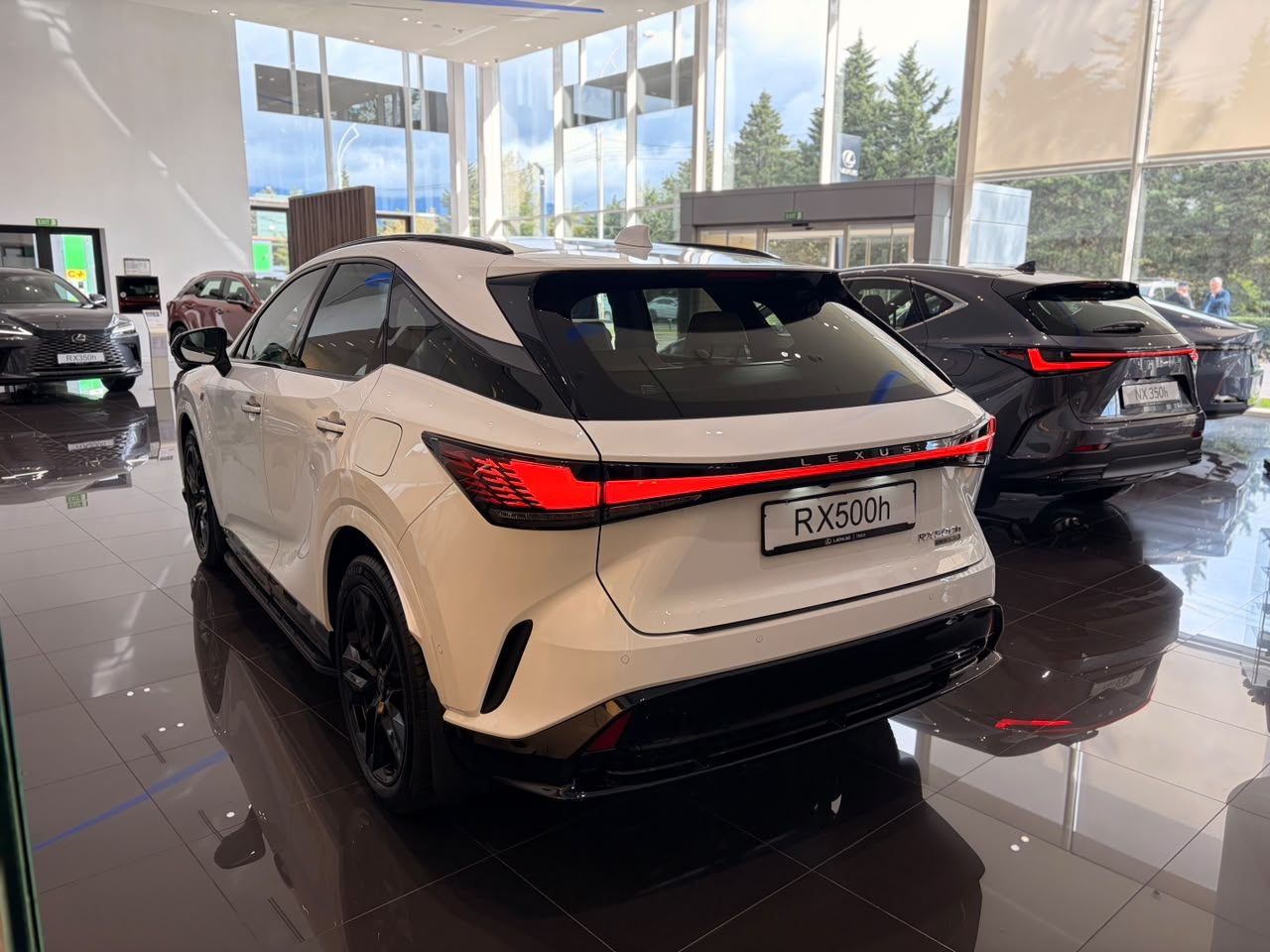 RX 500h F sport SE (6/10)