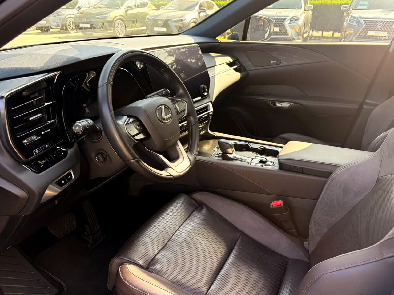 RX 350h Luxury (7/11)