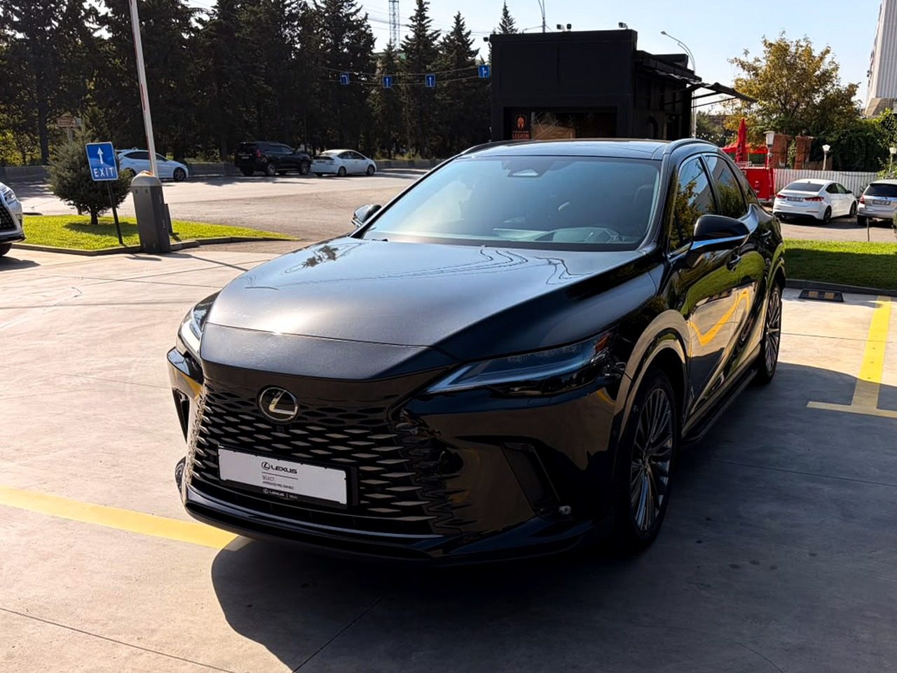 RX 350h Luxury (3/11)