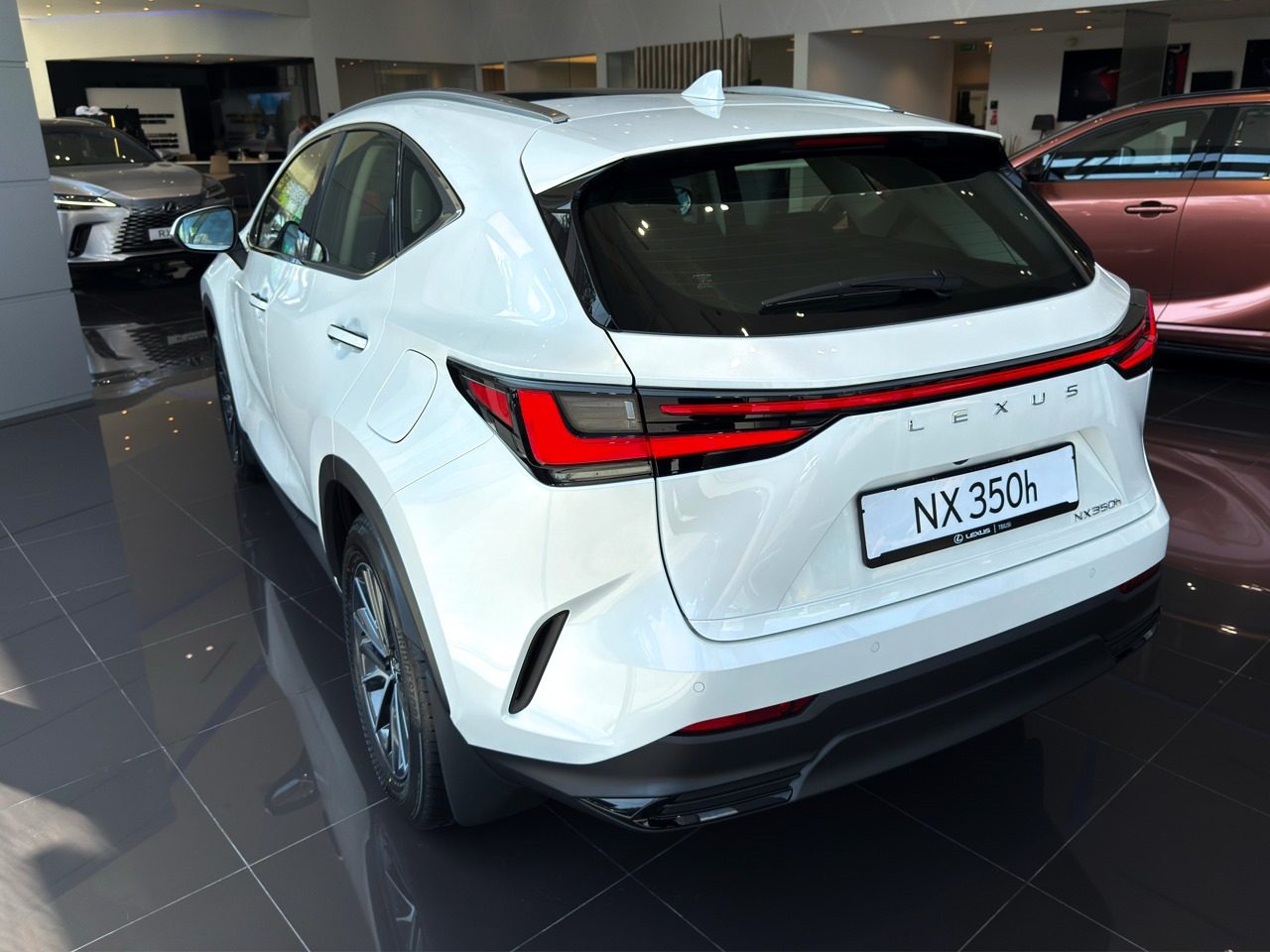 NX 350h Executive (4/11)
