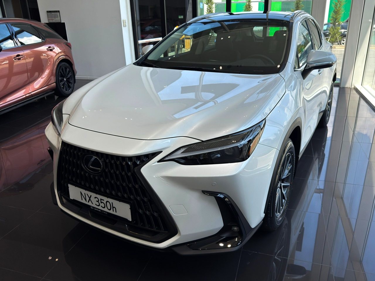 NX 350h Executive (3/11)